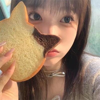 动物宝宝
